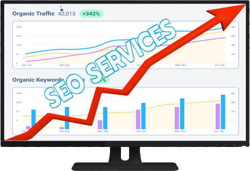 Contact Us for SEO services